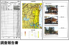 調査報告書
